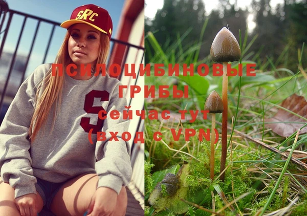 не бодяженный Карталы