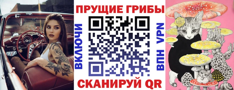 Галлюциногенные грибы MAGIC MUSHROOMS Купить Весьегонск