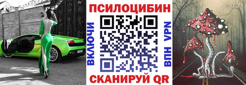 Псилоцибиновые грибы Cubensis Весьегонск